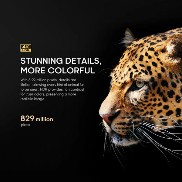 Syinix 50 inch Premium 4K UHD Google TV-50U61G - Image 12